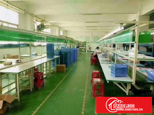 福永和平1300平方带装修厂房出租大工业园区独栋厂房分租整层