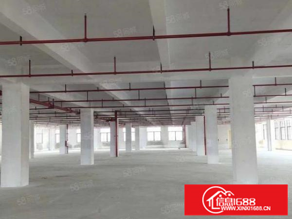 南海九江全新独栋,带地坪漆,可办环评,可分租,易招工厂房