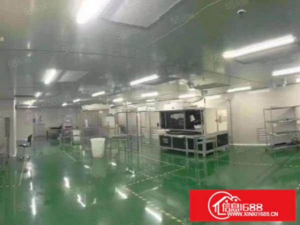 寮步镇原房东出租厂房现成装修水电齐全形象漂亮价格便宜可办环坪