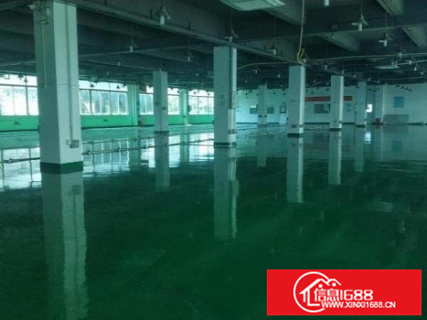大浪新出2800平方现成无尘车间，水电齐全，拎包入住！
