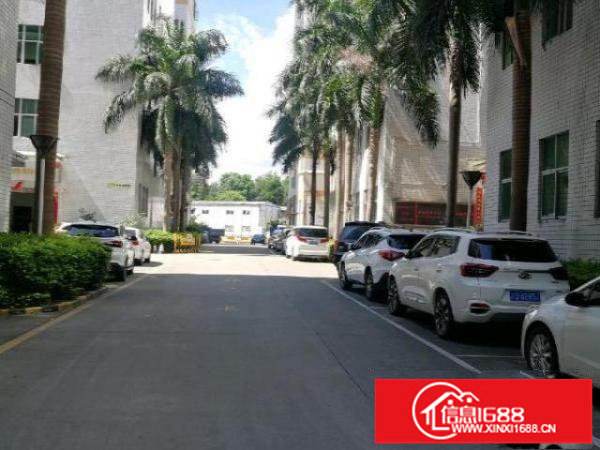 布吉李朗楼上带装修和无尘车间1343平出租