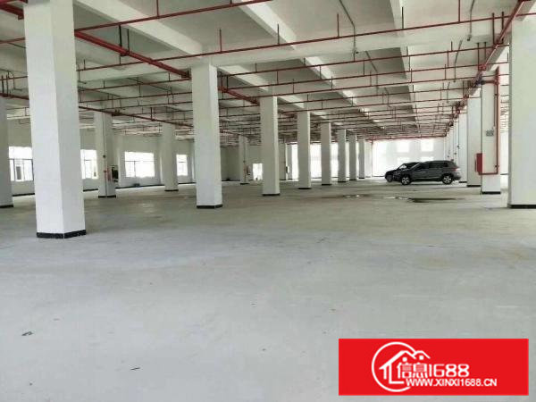 横沥镇工业区标准厂房8500平方招租消防合格
