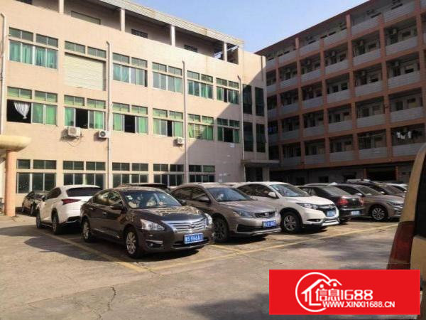 大宁工业区一楼1300厂房招租水电齐全豪华装修