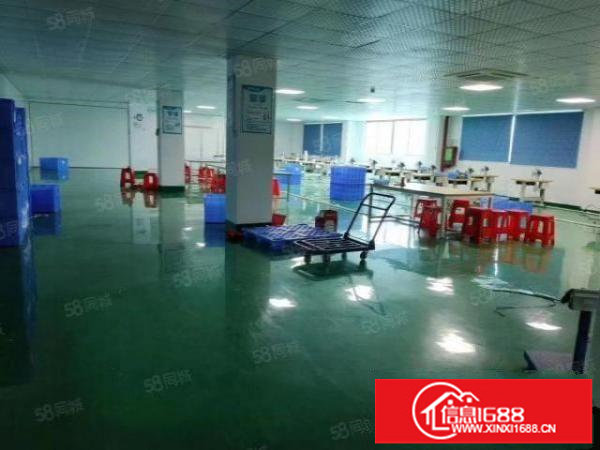 凤凰107国道边新出厂房2000平米豪华装修