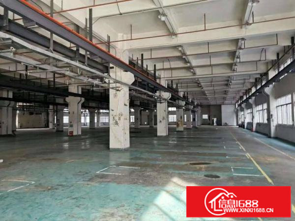 标准一楼7米高，带牛角，行成行车，水电齐全