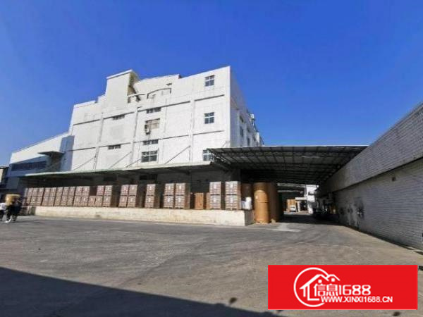 清溪原房东标准12200平全新地坪漆带喷淋水电齐全