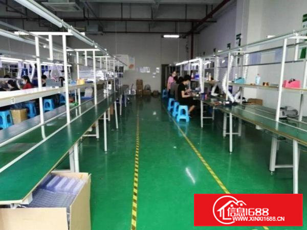 东方新出三楼1100平方厂房豪华办公室装修大气前台