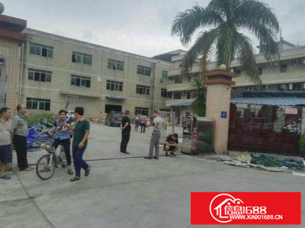 坪山浪尾深汕路边新出红本独院200平起招租