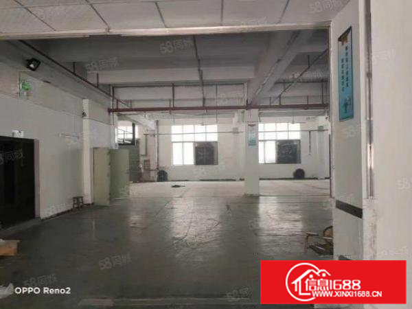 大朗镇一楼1600富民工业城工业聚集地出租可分租