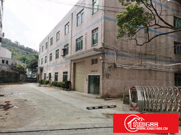 安良六约一手房东（原房东）独院厂房出租