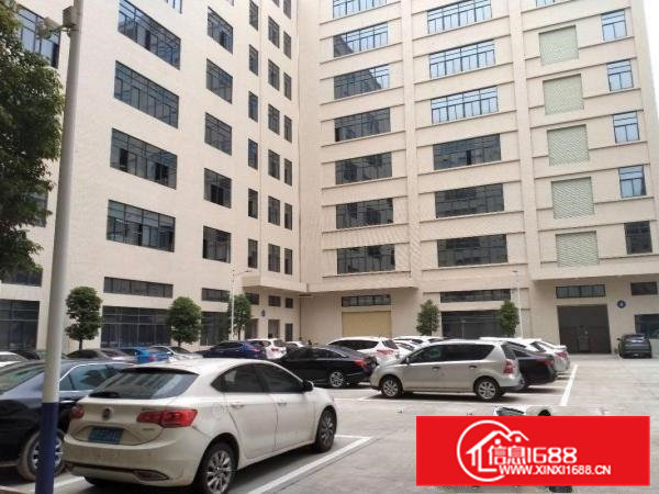 东莞大朗松木山原房东一楼1800平方出租可分租