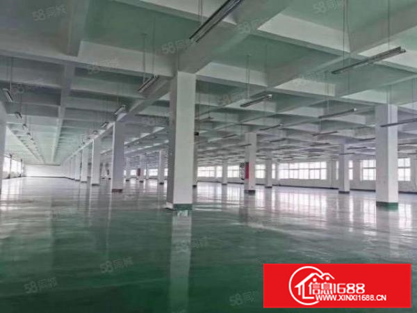 园区管理国家三标，杏坛工业区12000方标准厂房带宿舍饭堂A