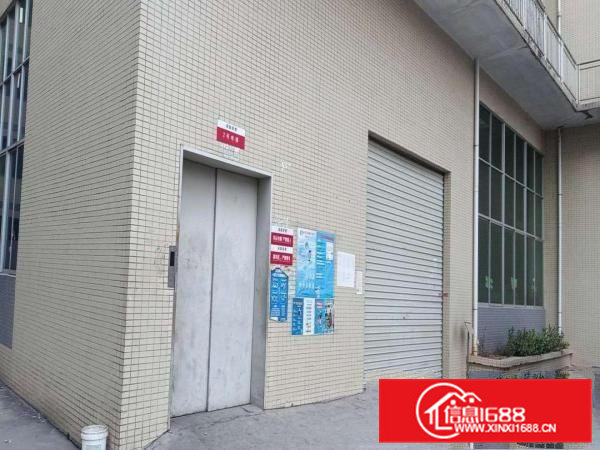 出租凤岗镇凤岗体育馆