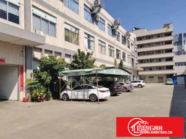 坪山马东工业区一楼800平米厂房出租，原房东，带红本