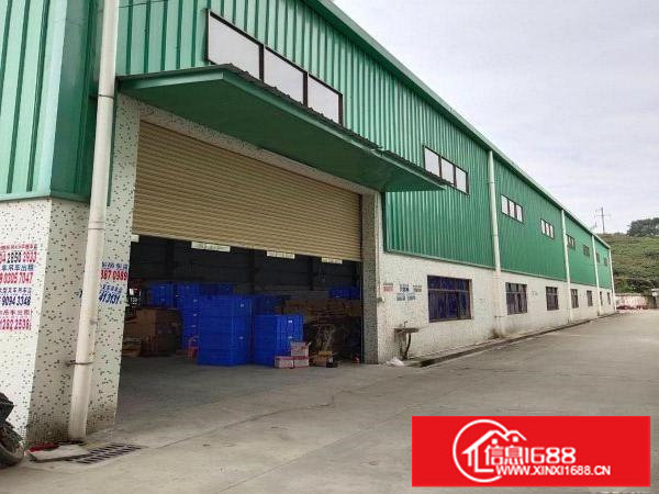 龙岗龙东单一层砖墙钢构3900平方，滴水12米带牛