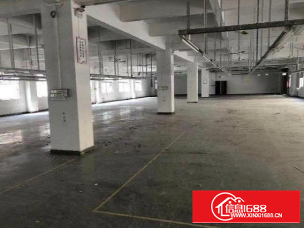 石排田寮原房东独院厂房，一栋两层3600平方米出租