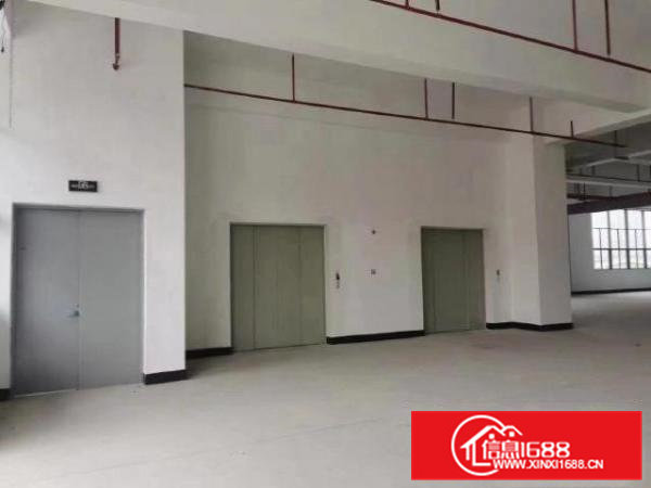 东坑全新园区招商，2楼3楼，空地大，配套完善