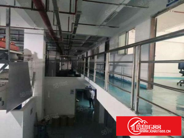 虎门镇南栅新出一楼1450平米，精装修厂房出租可谈可订