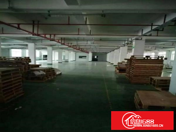 大岭山镇杨屋新空出标准厂房1到3层4500平方出租