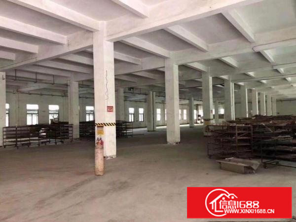 清溪镇中心街靓盘上市整栋分层出租或分栋出租，原房东