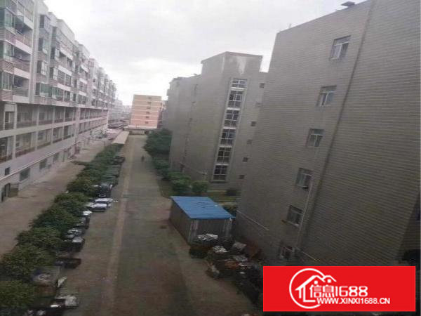 观澜梅观高速出口花园式独院7080平米，