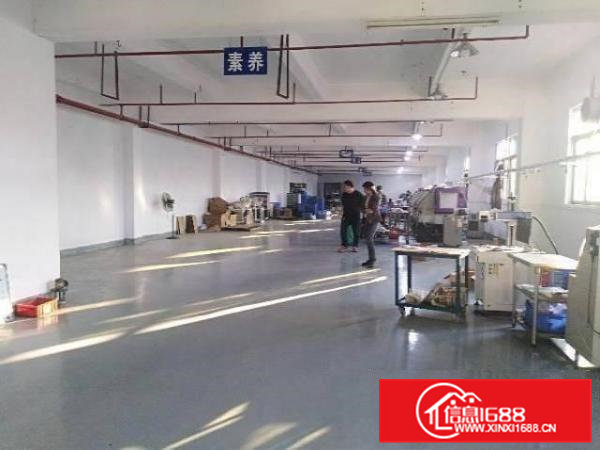 凤岗雁田新出楼上精装修厂房1500平送2间办公室