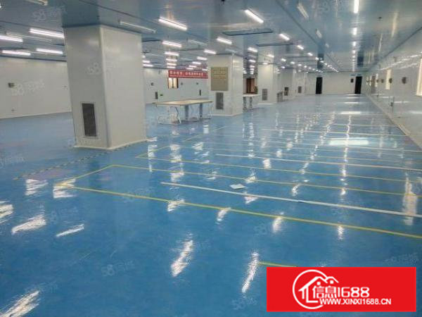 虎门南栅带装修无尘车间出租带办公室形象好格局方正出入方便