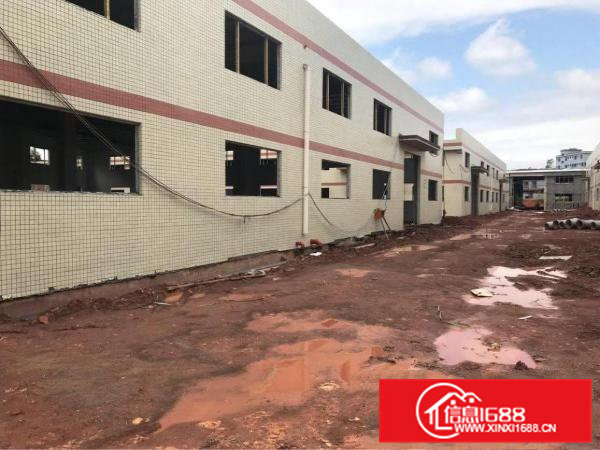 清溪三中原房东全新钢构18500平方