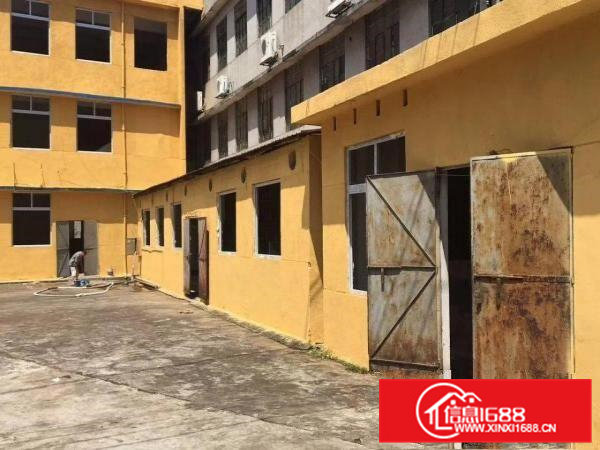 常平元江元独院厂房3600平米招租，空地大位置好