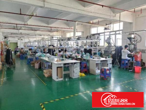 万丰工业园1000平厂房出租免转让费