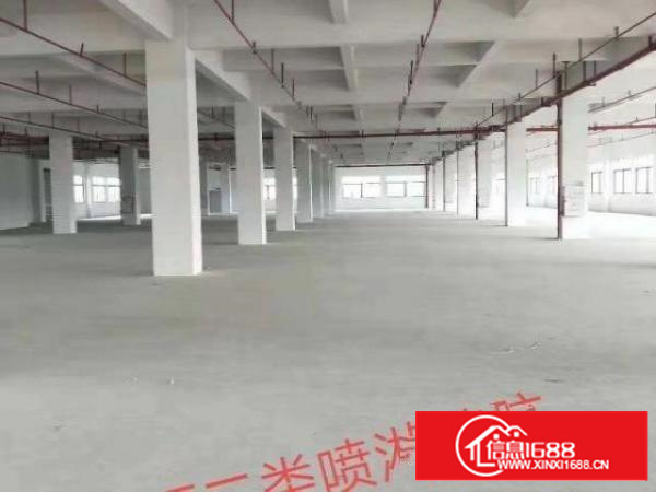 唐洪业主二楼厂房2400平方低价11元出租