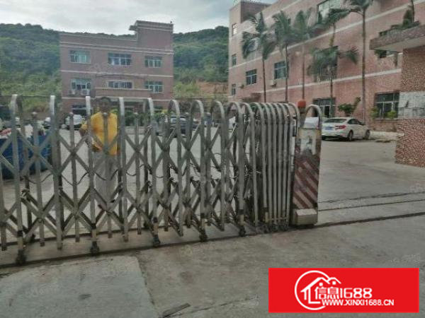 凤岗临深原房东独院3000平实际面积出租，大小可分组