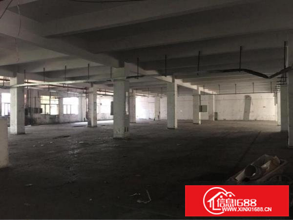 凤岗雁田标准一楼厂房2550平方米带现成办公室出租