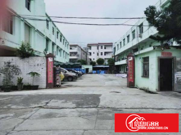 深圳坪山业主厂房直租可分组带现成办公室装修