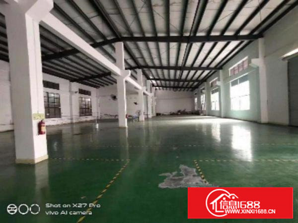 塘厦临深新出滴水9米高单一层钢构厂房1000㎡