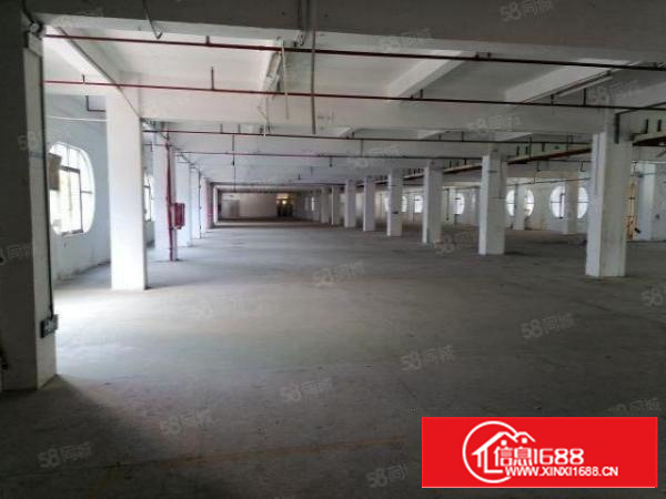 原房东独门独院，院子大，可办环评，有消防喷淋