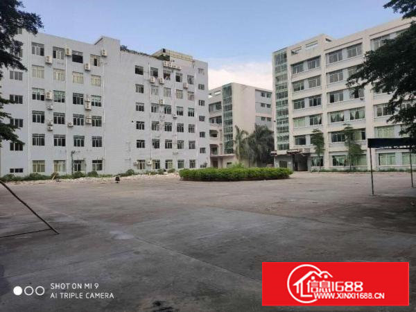 长安锦厦原房东独院厂房200平起租可做小污染