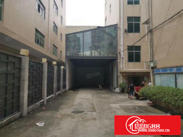 横岗安良原房东花园独院9000平出租，带精装修办公室合同十年