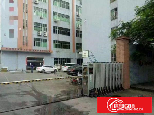 桥头邵岗头新出楼上900平方带装修厂房出租