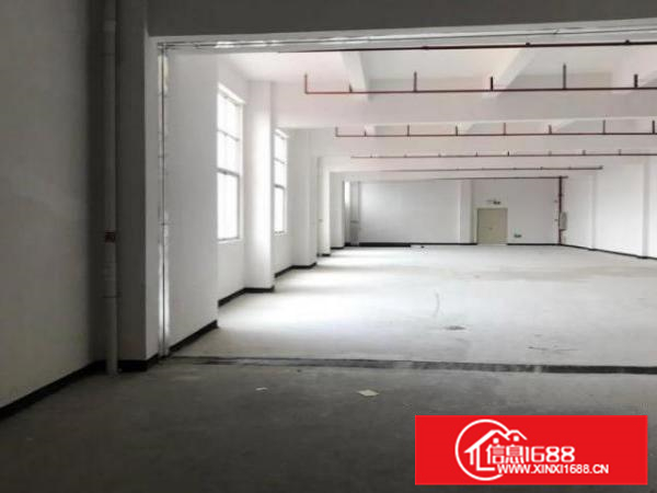 620方?顺德容桂天富来九期全新厂房