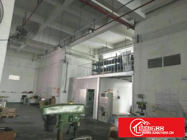 坪山碧岭300平米1楼标准厂房出租，已经空出