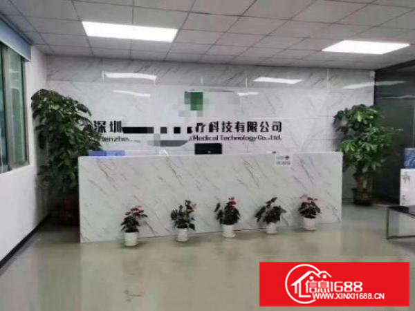 福永白石厦107国道旁边新出厂房1488平带豪华装修