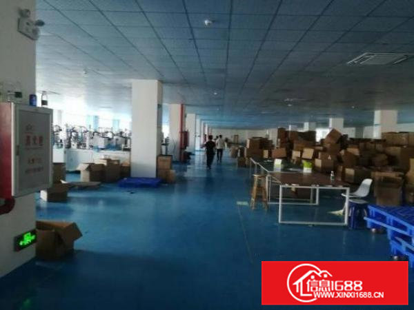 东坑厂房出租全新地坪漆吊顶国有证厂房标准厂房二楼