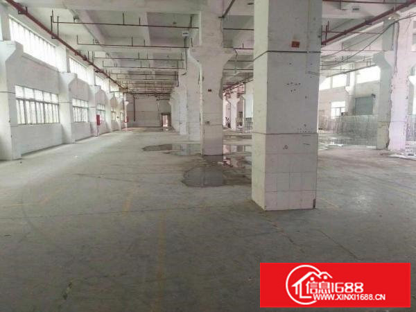 龙华大浪新百丽附近新出一楼2100平厂房