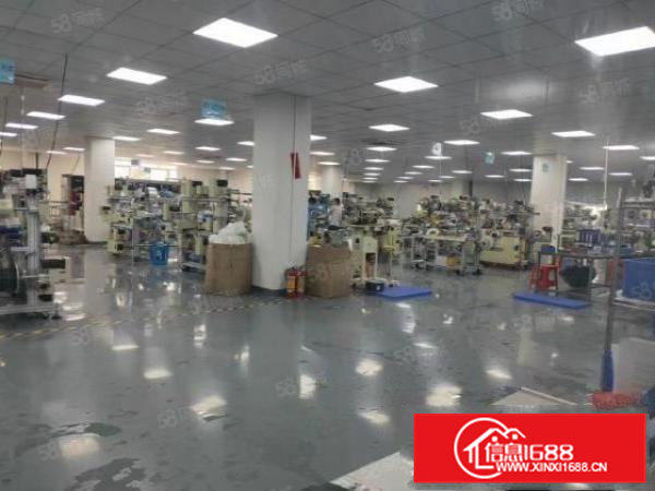 清溪三中新出无尘车间厂房2800平，精装修无转让费拎包入住