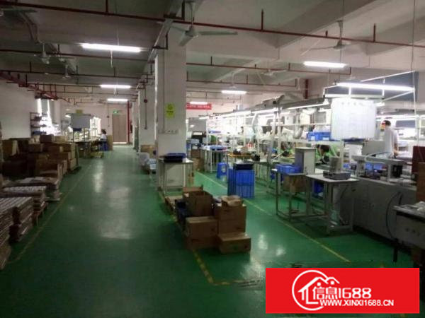 梅观高速观光路边上精装修工业园楼上1000平方