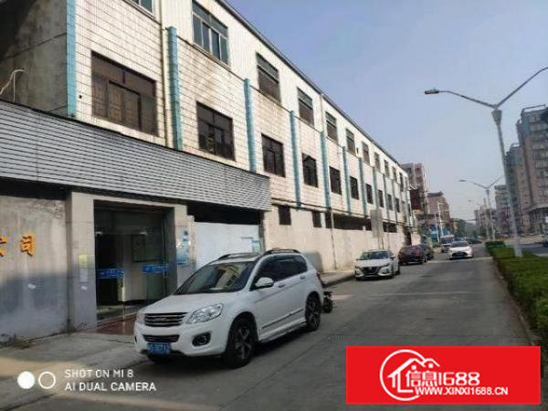 出租石排镇独门独院原房东新建单一层重工业钢构厂房