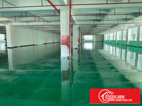 凤岗新出独院全新地坪漆厂房，价格13.9元，合适任何行业，