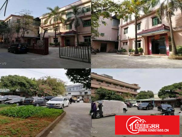 袁山贝常平镇小厂房出租厂房400平米