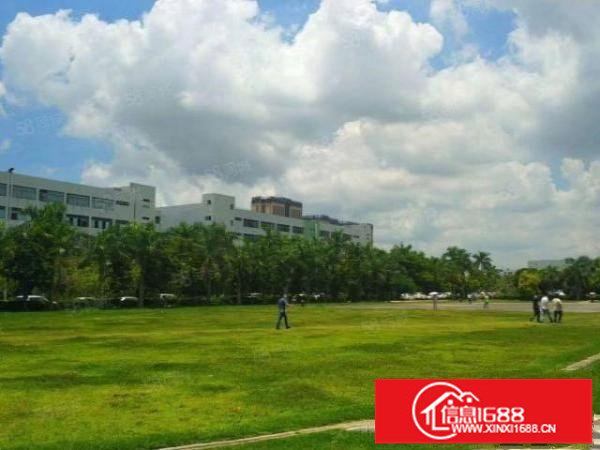 坪山高薪产业园400平起租带现成装修可申请补贴一楼滴水6米